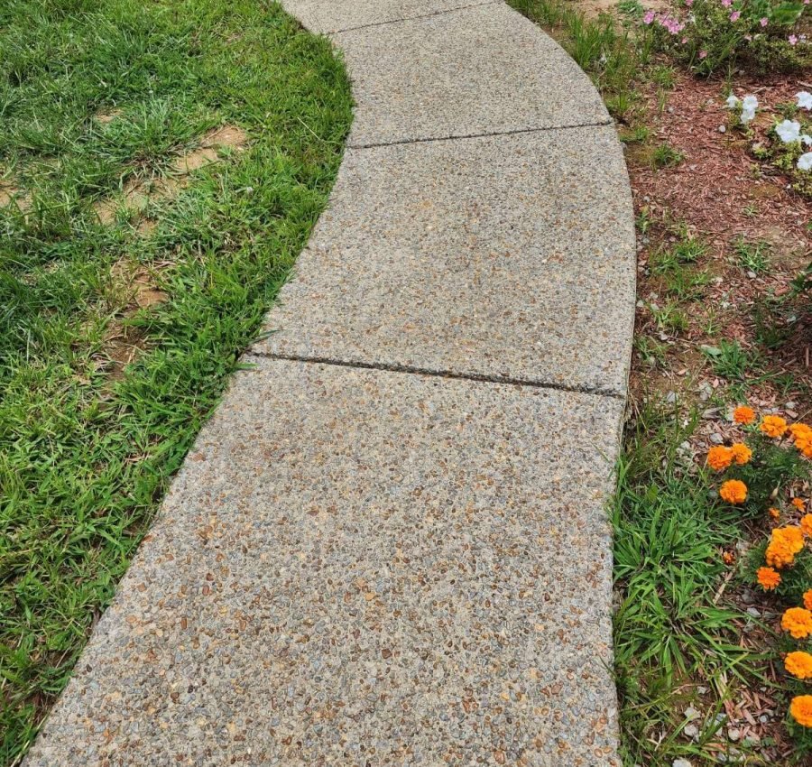 Juan Aviles Concrete IMG (3)